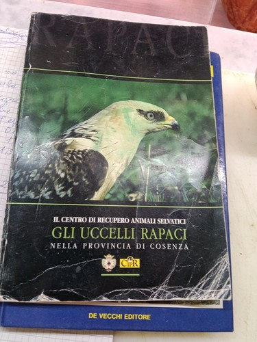 Gli uccelli rapacinella - gli,