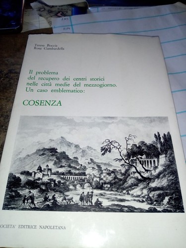 2313n cosenza problema dei - 2313n, il